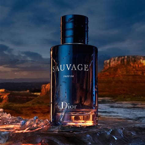 parfum von dior sauvage|Dior Sauvage cheapest price 100ml.